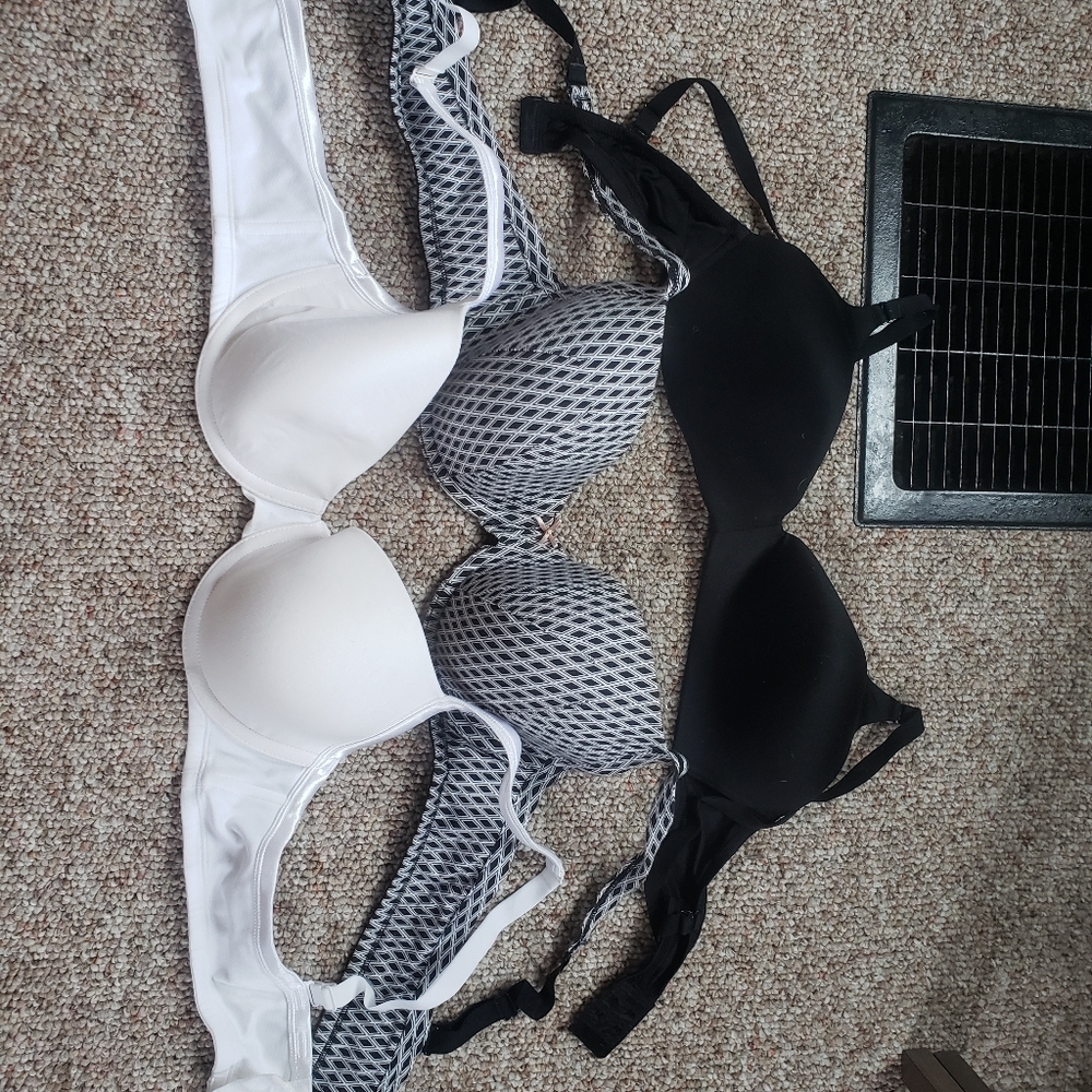 42b x 2 cacique bras + 38 b George bra